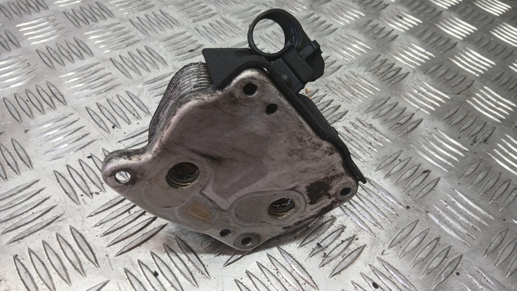 Radiador de Aceite BMW E46 1.8B 97-03 image 4