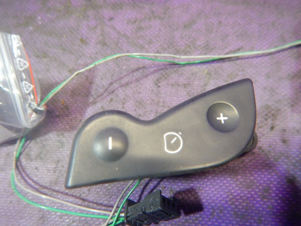 Interruptor de Tempomat Renault Megane II 02-06