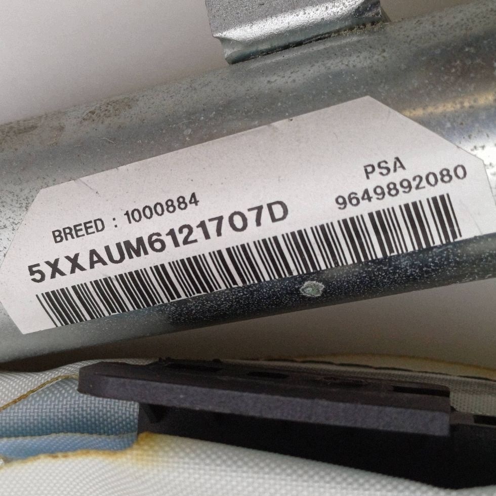 Ilmatyyny verho oikea Peugeot 307 5D 9649892080 image 3