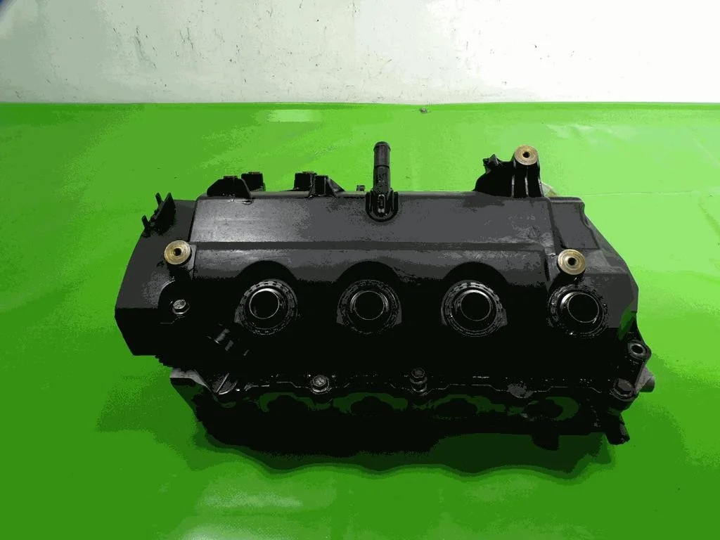 Renault Thalia 1.2 16V D4F712 Cabeça Motor