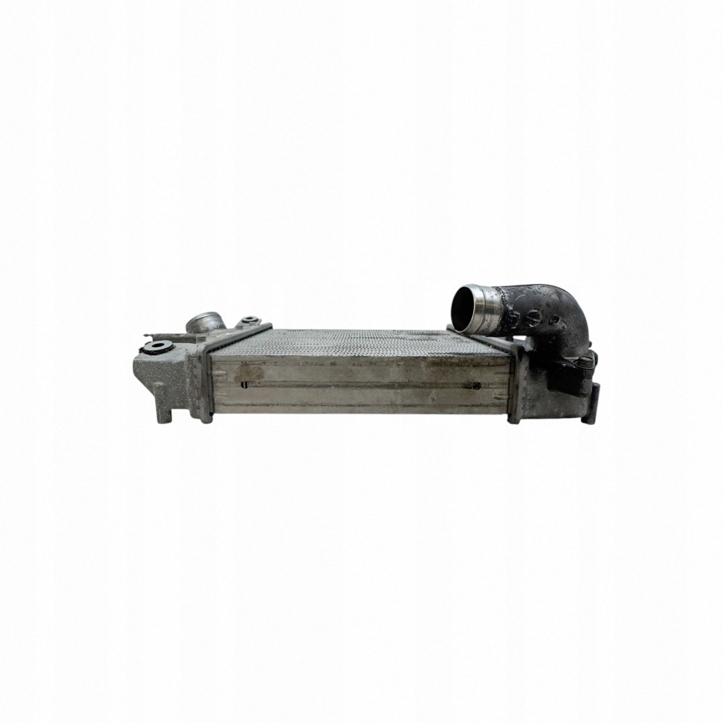 Intercooler Nissan X-Trail T30 D2052817 image 4