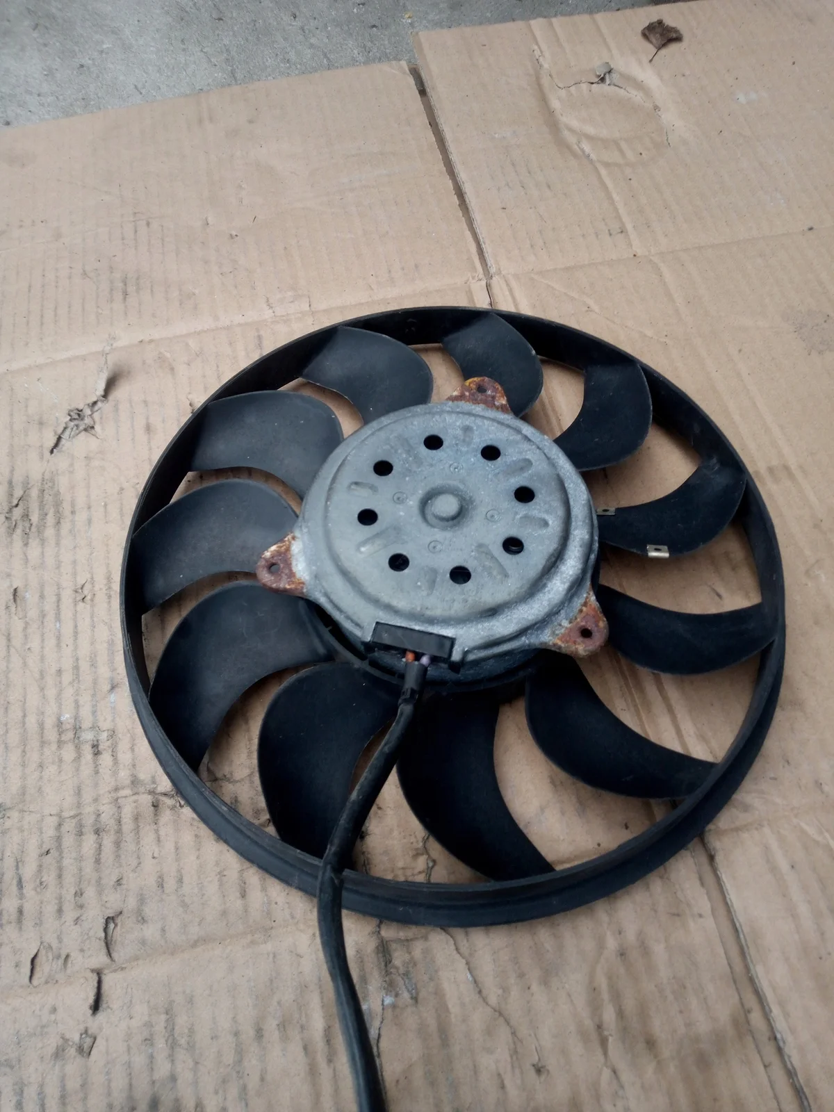 Ventilator Radiator 8E0959501R Seat Exeo image 10