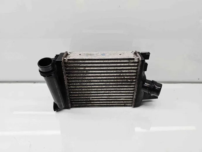 Intercooler Renault Megane 3 1.6 K4M848
