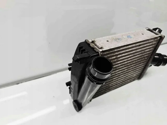 Intercooler Renault Megane 3 1.6 B K4M848