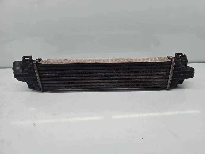 Intercooler Ford Focus 2 (DA) 1.6 TDCI image 4