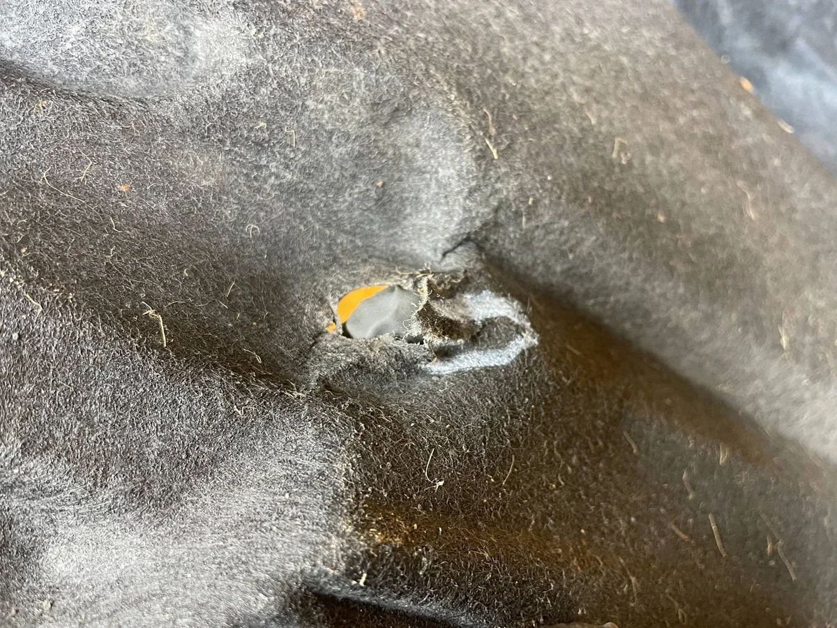 Guarda-lamas Traseiro Esquerdo Toyota RAV4 IV image 9