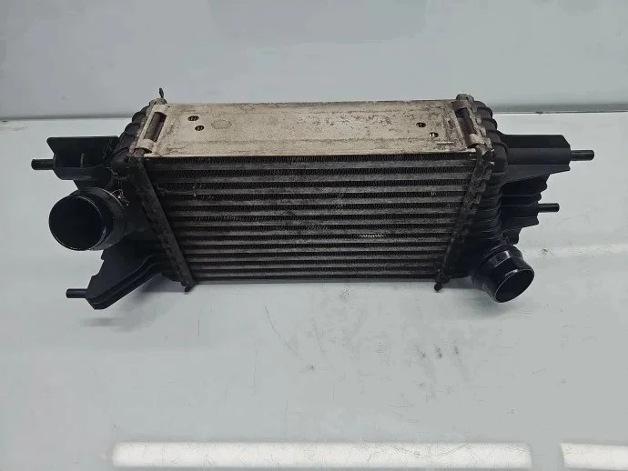 Intercooler Nissan Juke 1.5 DCI K9K636 Usado