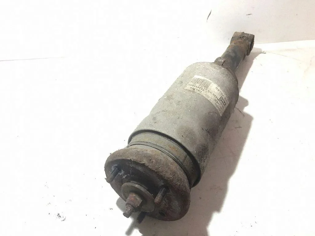 Range Rover Sport L320 Air Spring Strut Front RNB501620 image 3