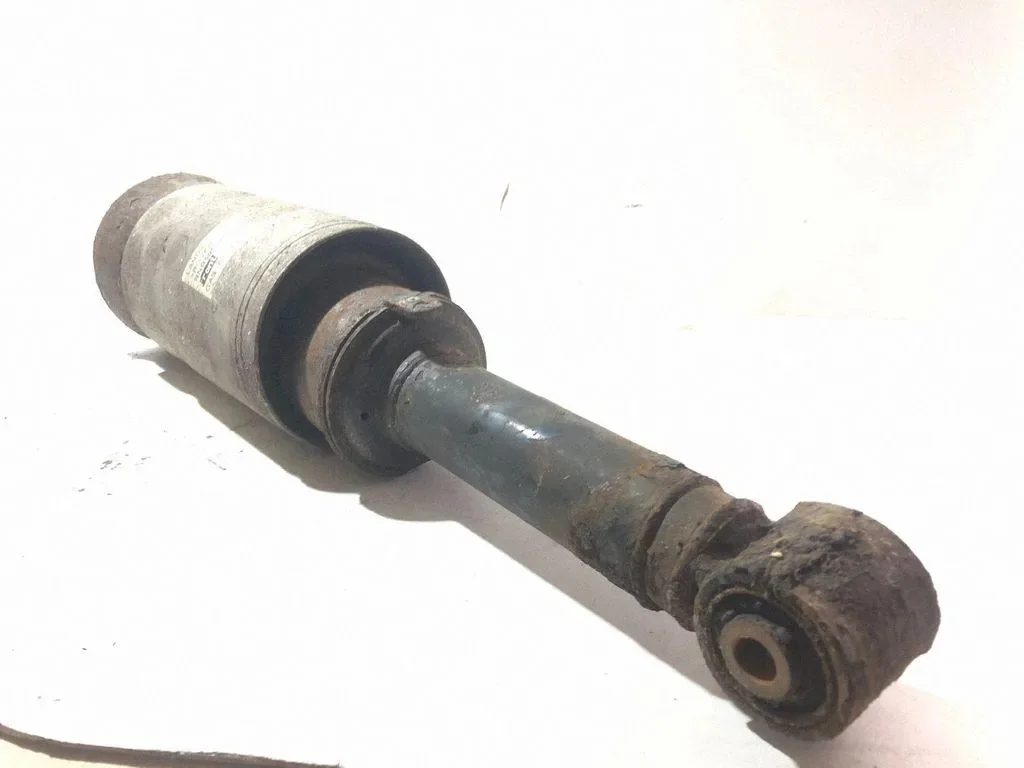 Range Rover Sport L320 Air Spring Strut Front RNB501620 image 4