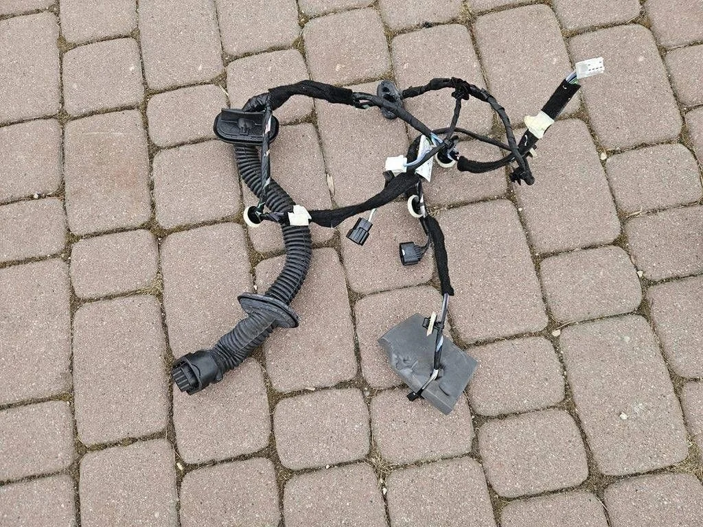 Faisceau porte avant gauche Renault Zoe 241259317R
