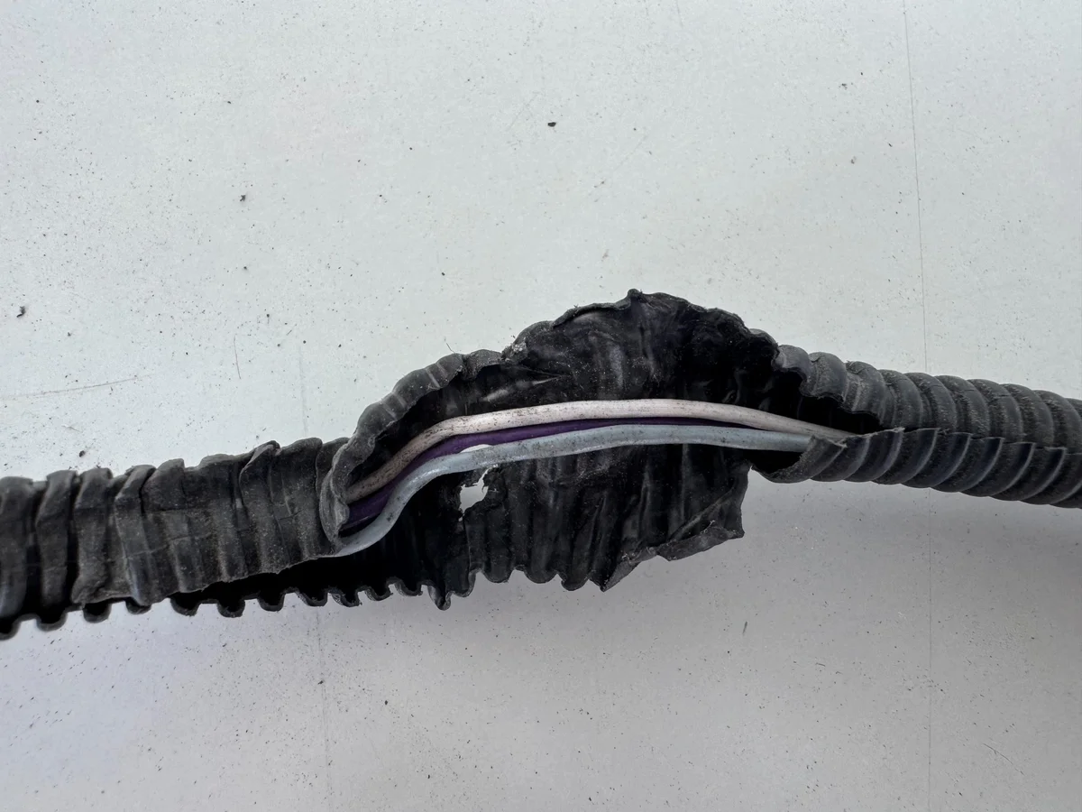 Kablage PDC bak Renault Clio IV 4 image 5