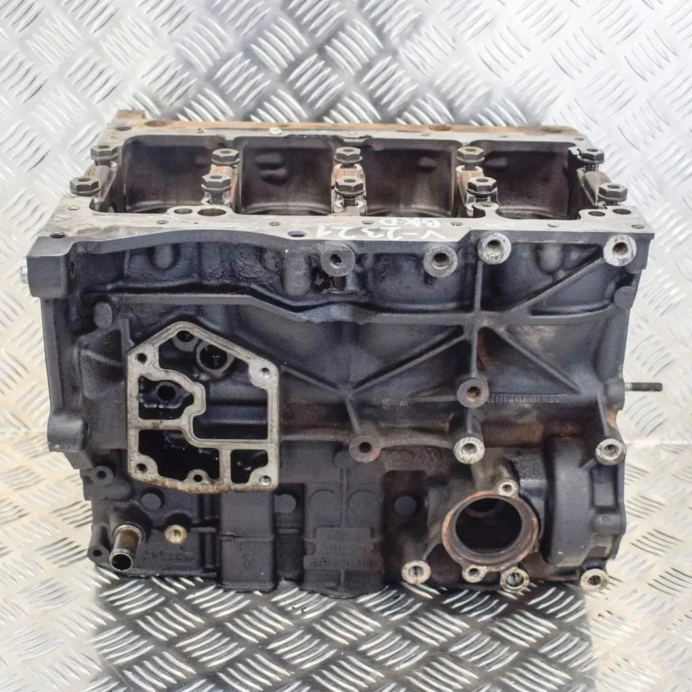 Bloque Motor Audi A3 2.0 TDI 038103021BP