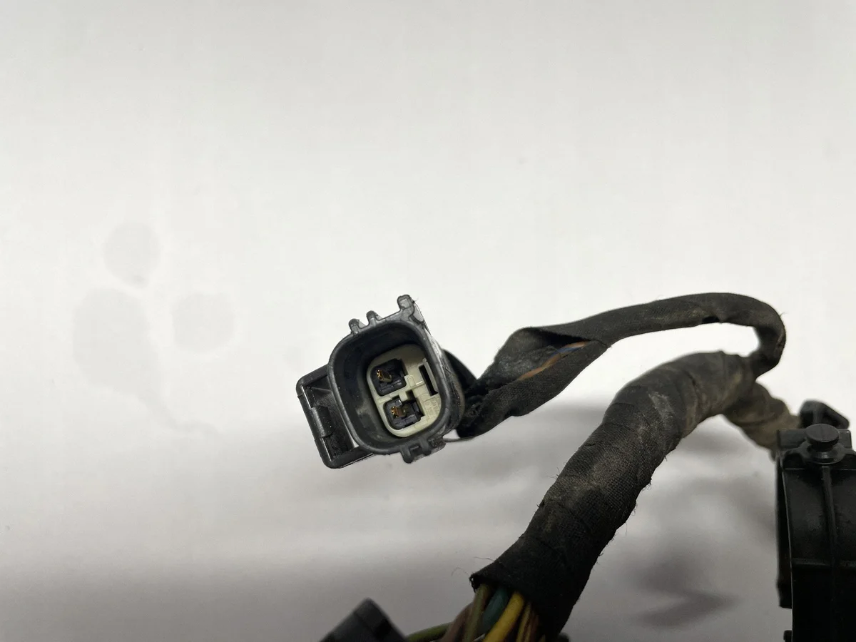 Ford Mustang VI 2016 Cableado Inyectores FU5T14B485CC image 10