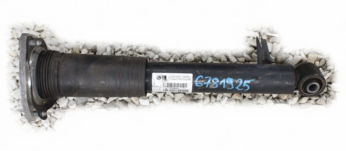 6781925 Stoßdämpfer hinten links BMW X5 E70