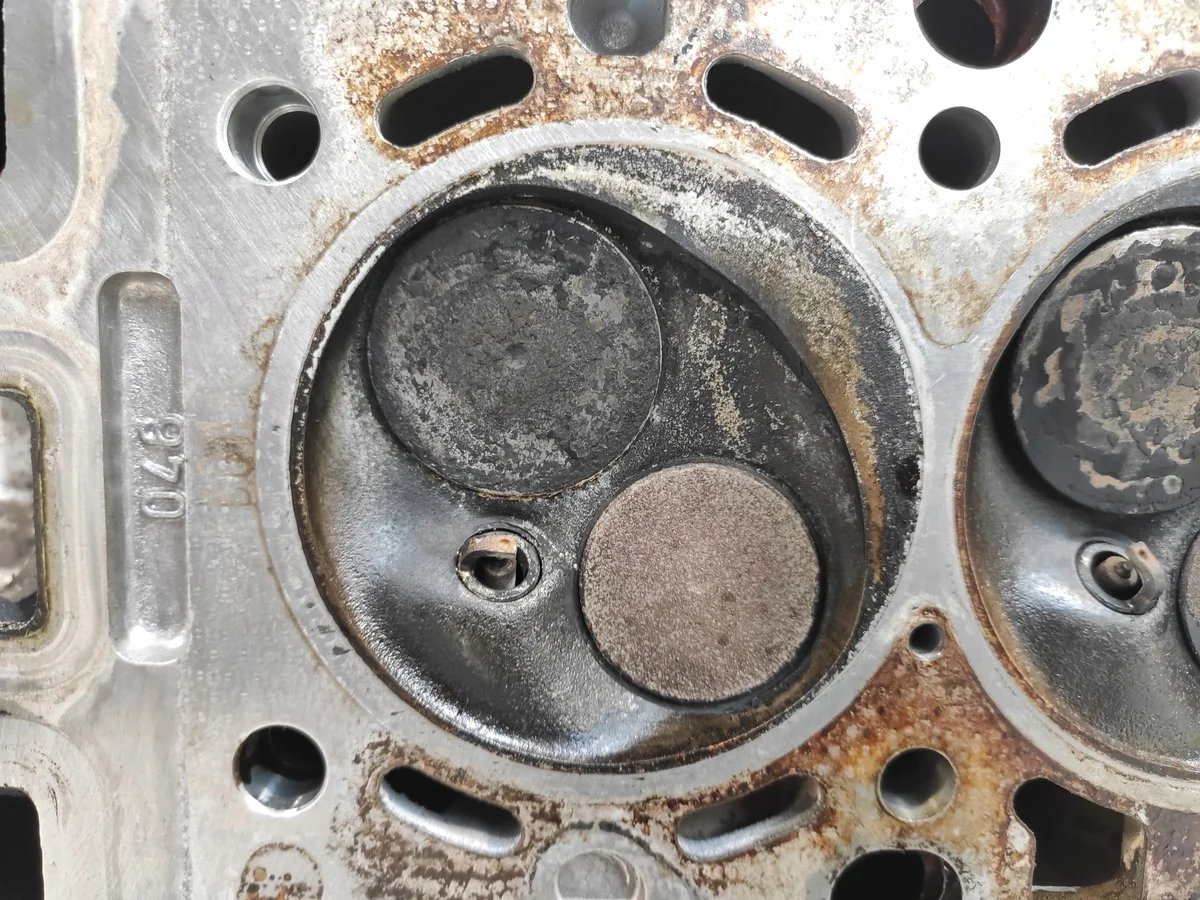 Testata BMW M43B19 1.9 E46 1743987 image 8