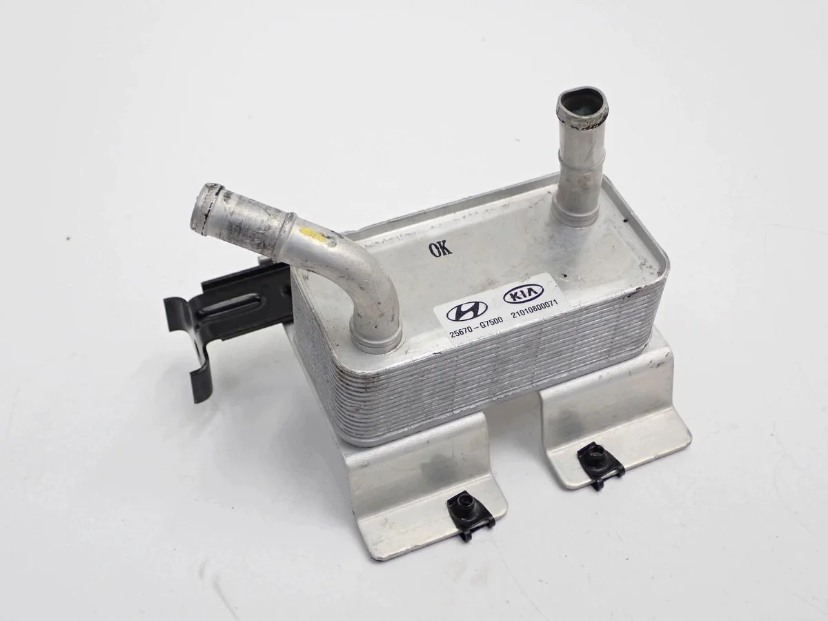 Radiatore Clima Hyundai Ioniq Electric EM10