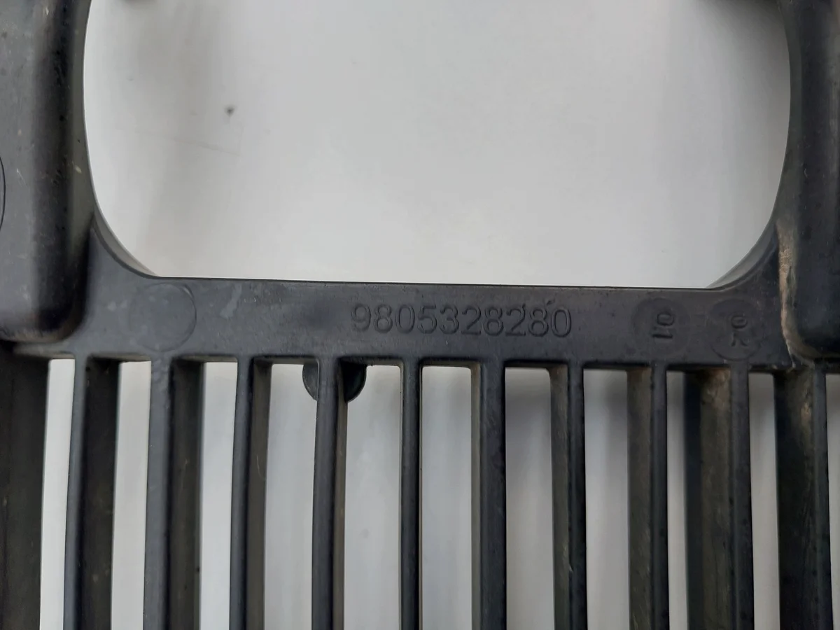 Kühlergrillabdeckung Citroen C4 Picasso II 1.6 HDI image 3
