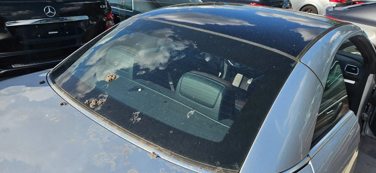 Volkswagen Eos 2007 Tetto Cabrio SOP4792