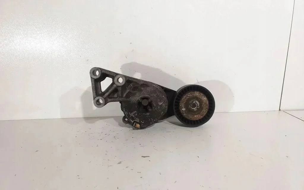 Spanrol Riem Audi A3 8P1 2.0L Benzine 06A903315