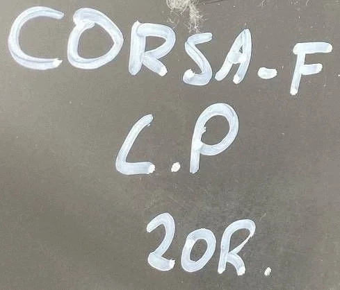 Opel Corsa F dörrpanel vänster fram 5D image 3