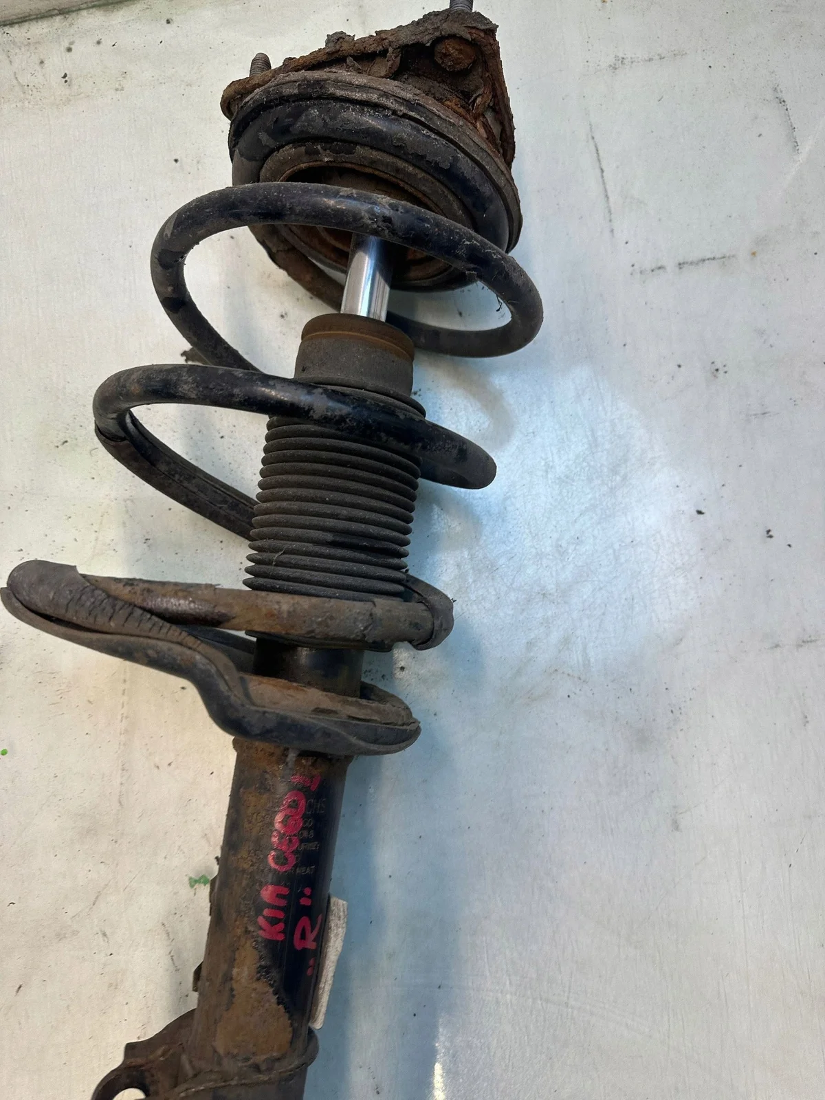 KIA Ceed 1.6 CRDi Front Right Shock Absorber