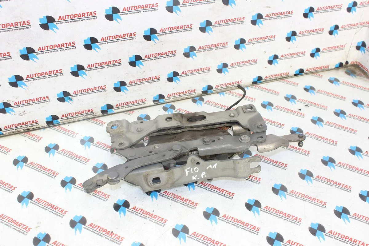 BMW 5 F10 F11 2011 Aktywna maska 7191327 image 3