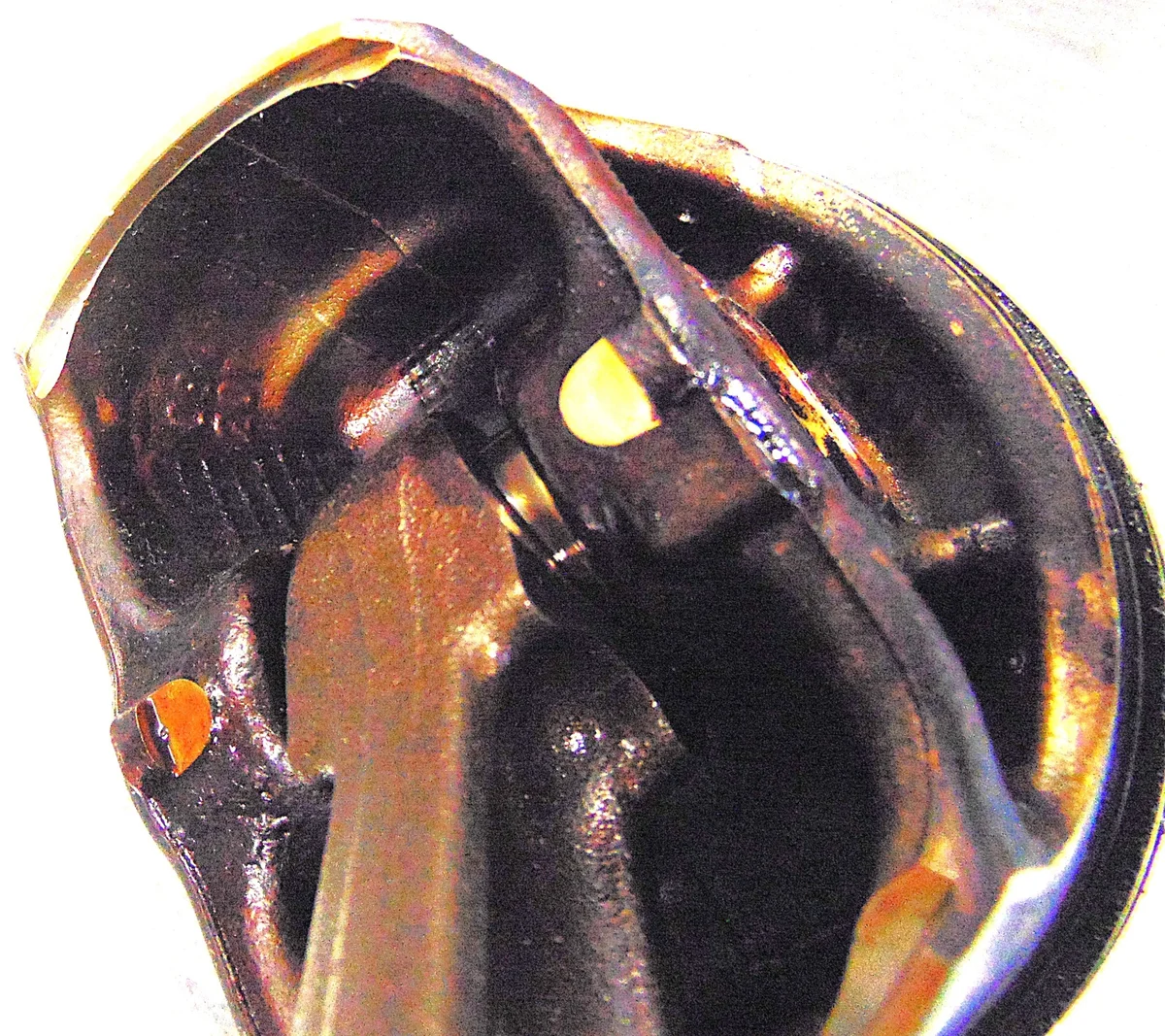 Kolv vevstake BMW 3 E90 E91 2.0 16V Bensin image 7