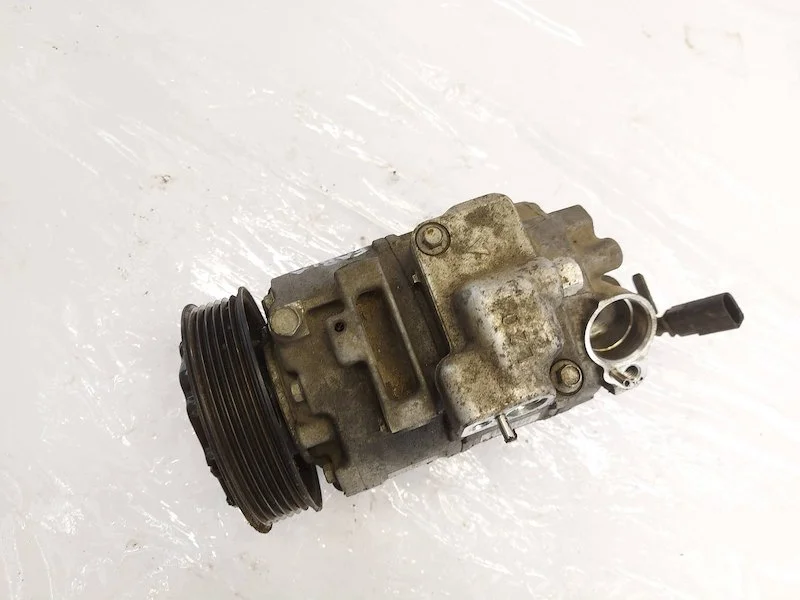Compressor A/C Skoda Fabia 1 6Q0820803D image 10