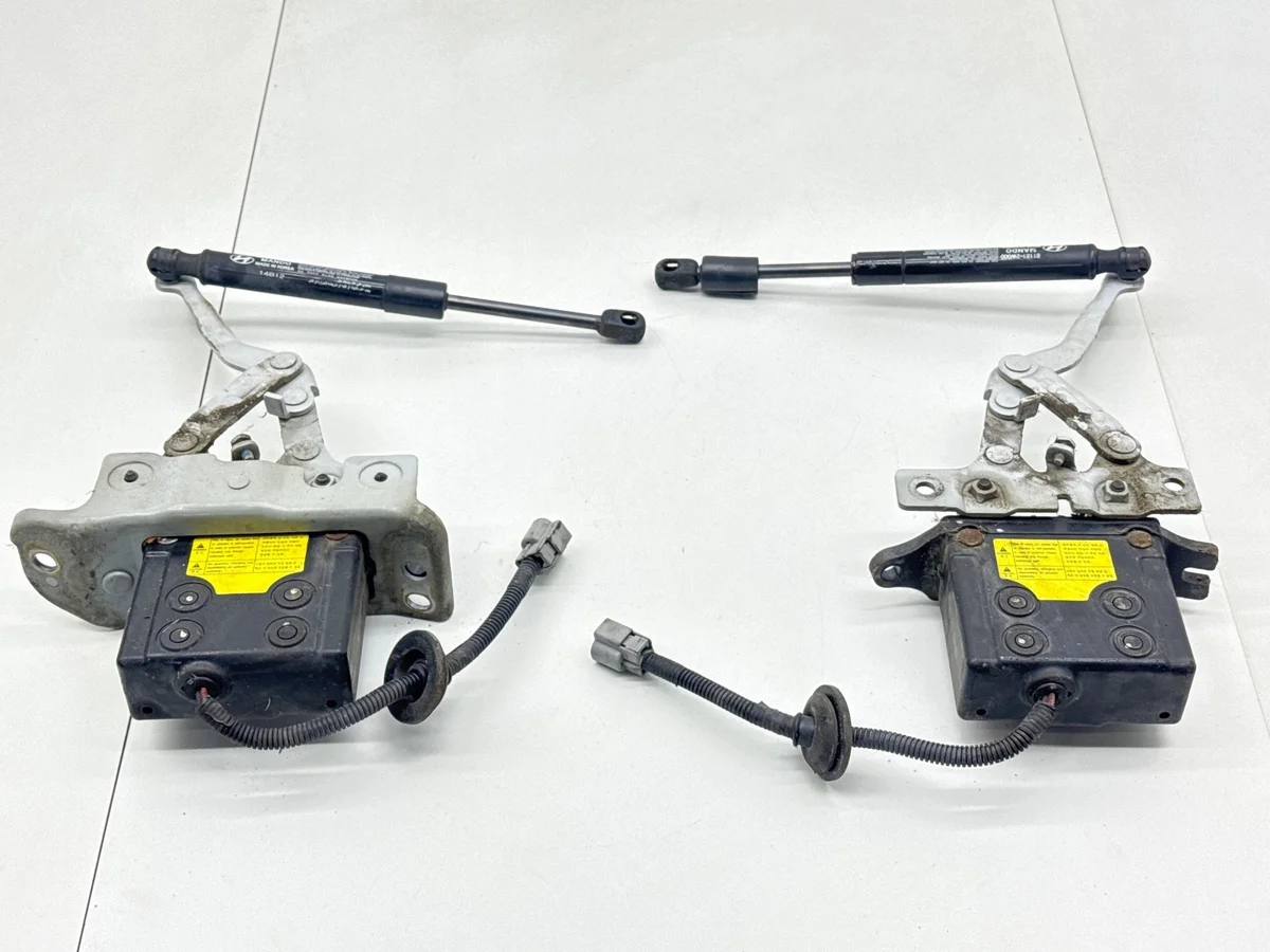 Hood Hinges Hyundai Santa Fe III (DM, DMA)