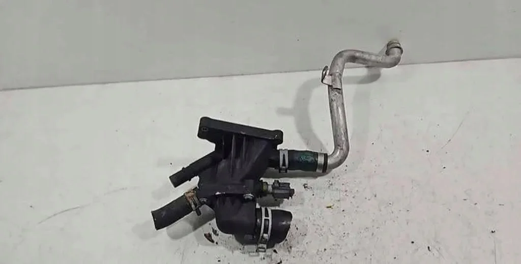 Ford CM5G8D036AA Durite d'eau Tube