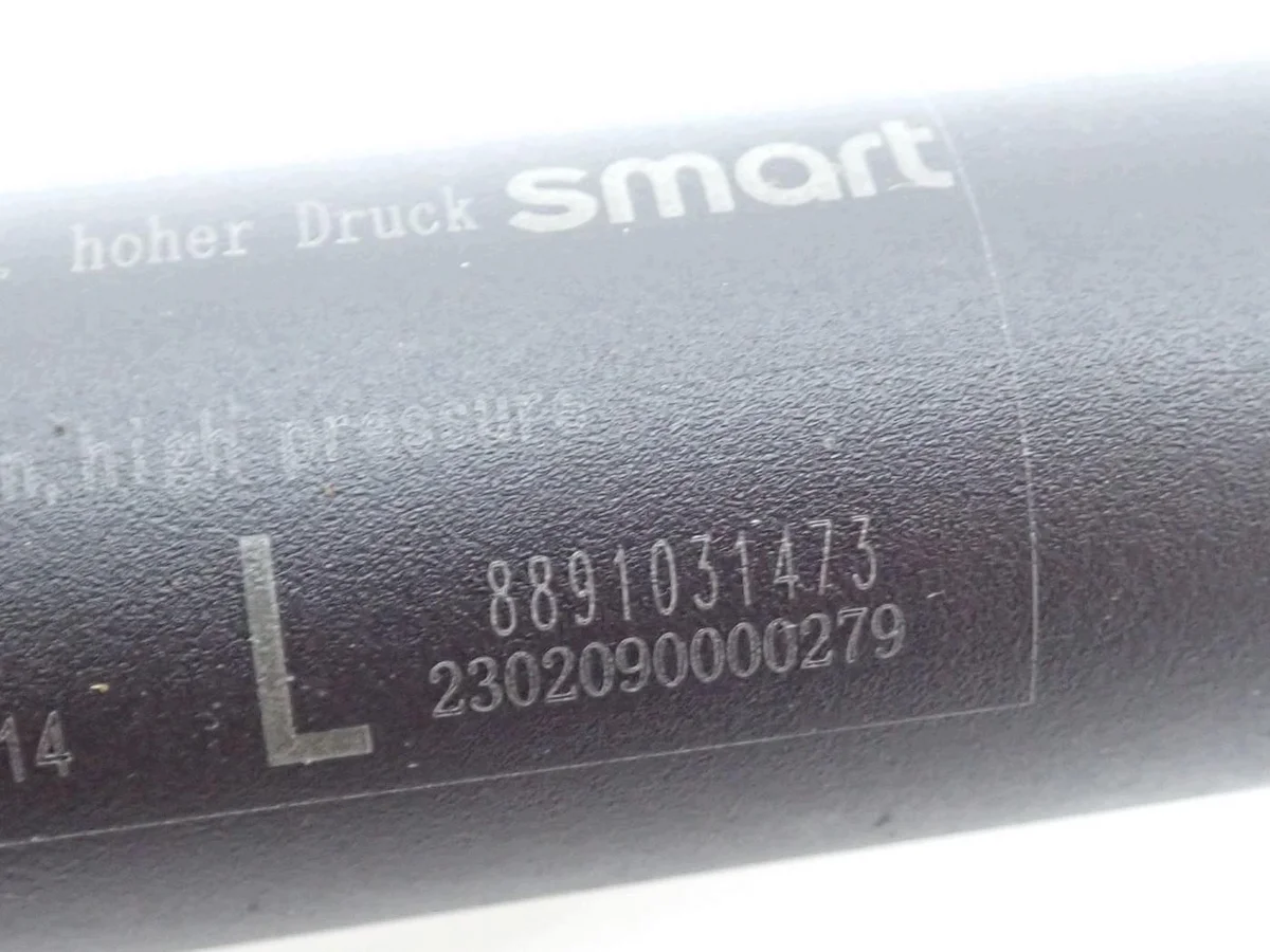 Amortiguador Maletero Smart OE 8891031473 image 3