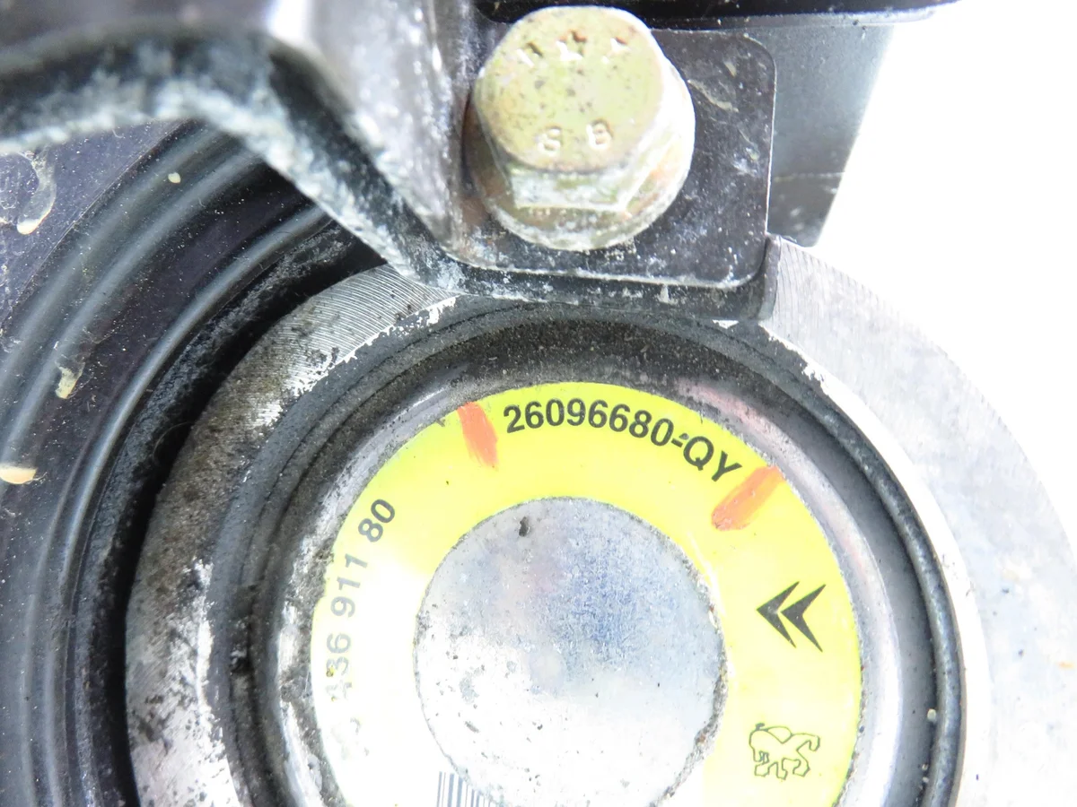 Servopumpe Peugeot 206 2.0 HDI M1147141-26096680QY image 4
