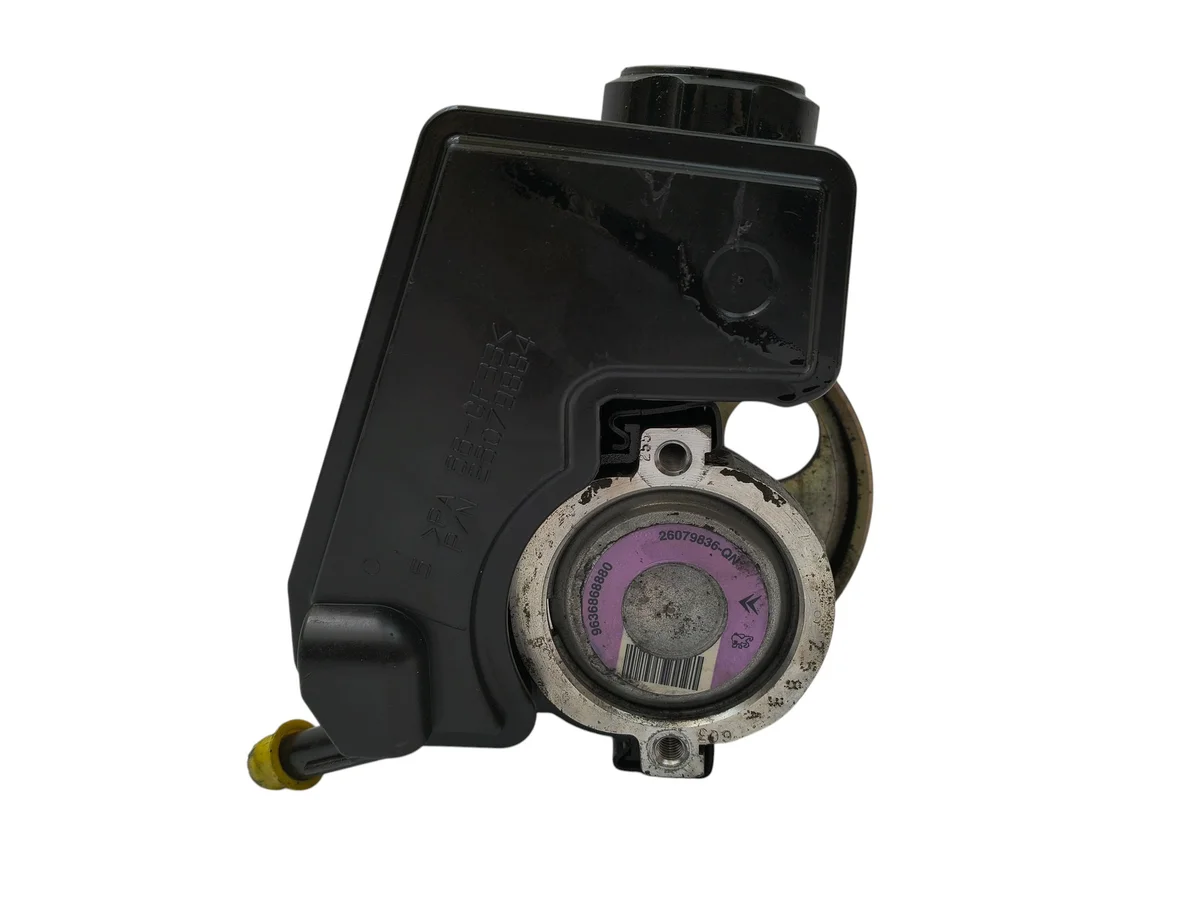 Servopumpe Peugeot 206 1.1 1.4 2.0 HDI image 6