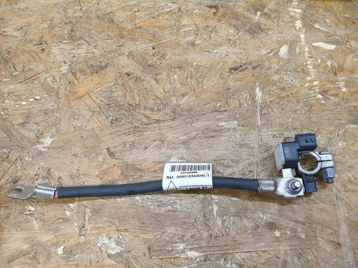 Borne négative Renault Master III Lift 250820605R