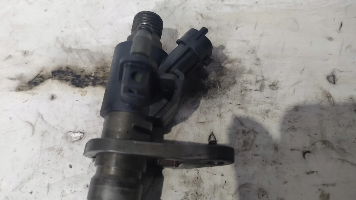 Inyector Citroen C5 III 3.0 HDI Bosch image 3