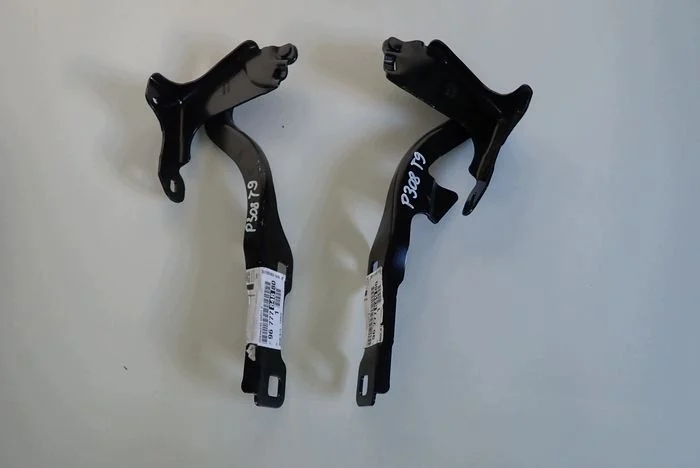 Charnières Peugeot 308 T9 9677784880