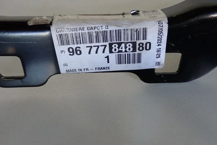 Peugeot 308 T9 Hinges Left Right Used