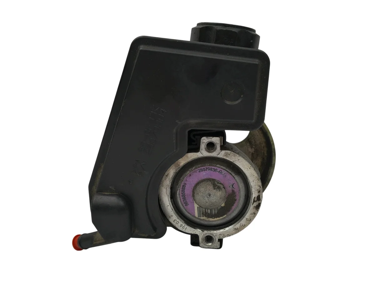 Servopumpe Peugeot 206 1.1 1.4 8V 2.0 HDI image 7