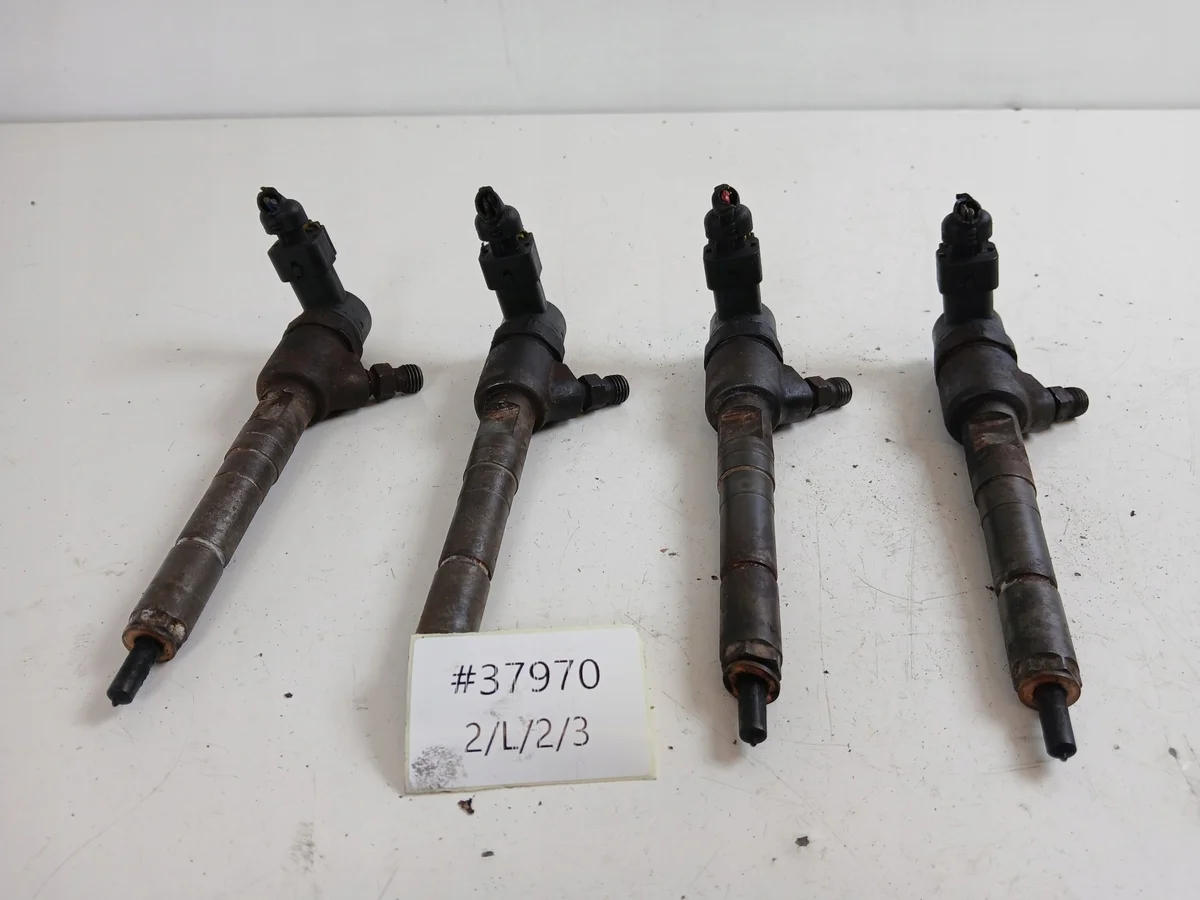 Inyector Opel Corsa D 1.3 CDTI 0445110183 image 5