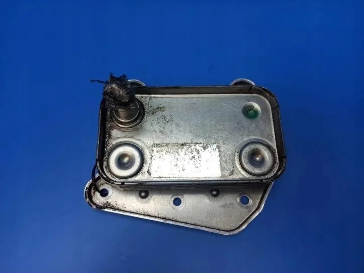 2004 Mercedes-Benz S W220 Oil Filter Base