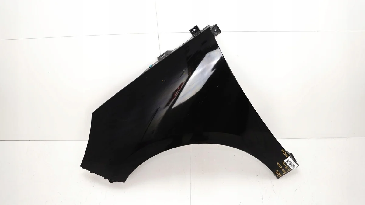 Renault Scenic III Front Left Fender Used