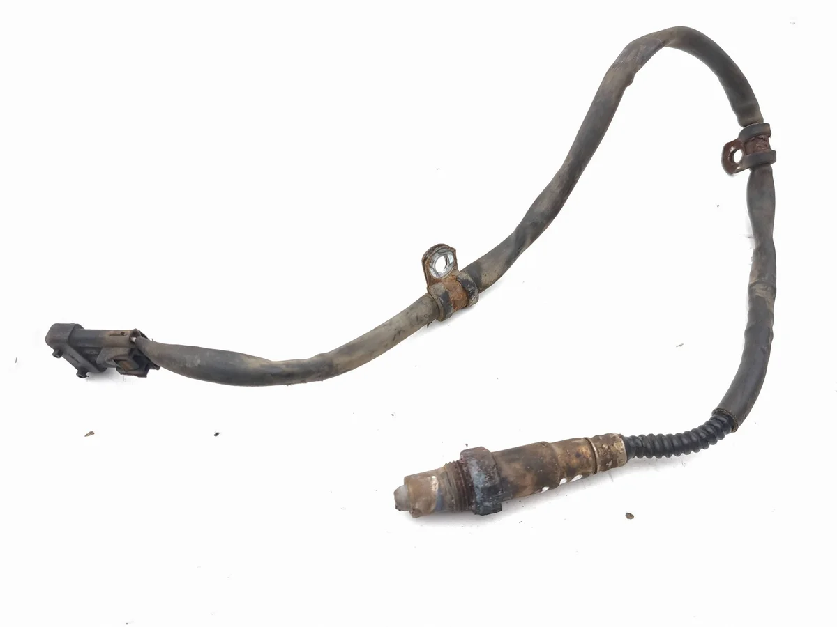 Sonde lambda Maserati Coupe AMD258419
