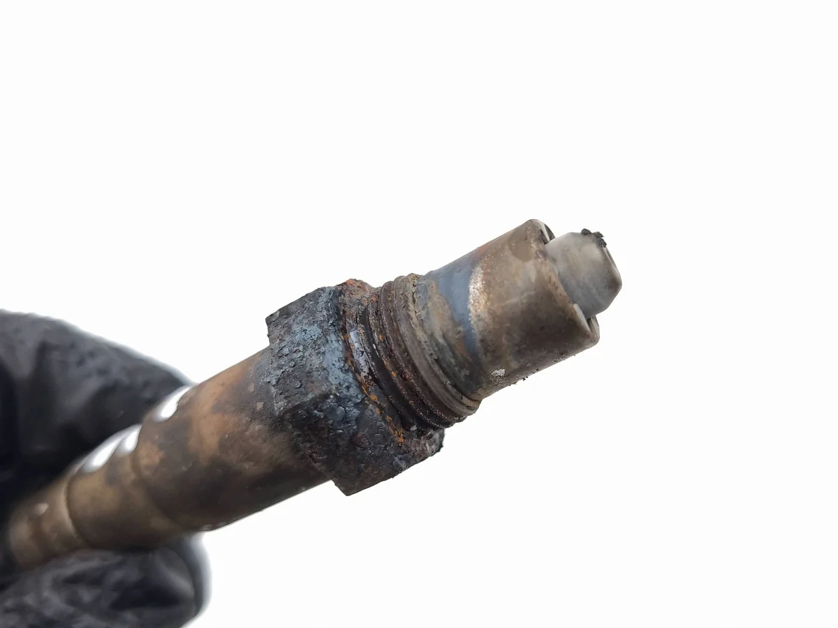 Sonde lambda Maserati Coupe AMD258419 image 4