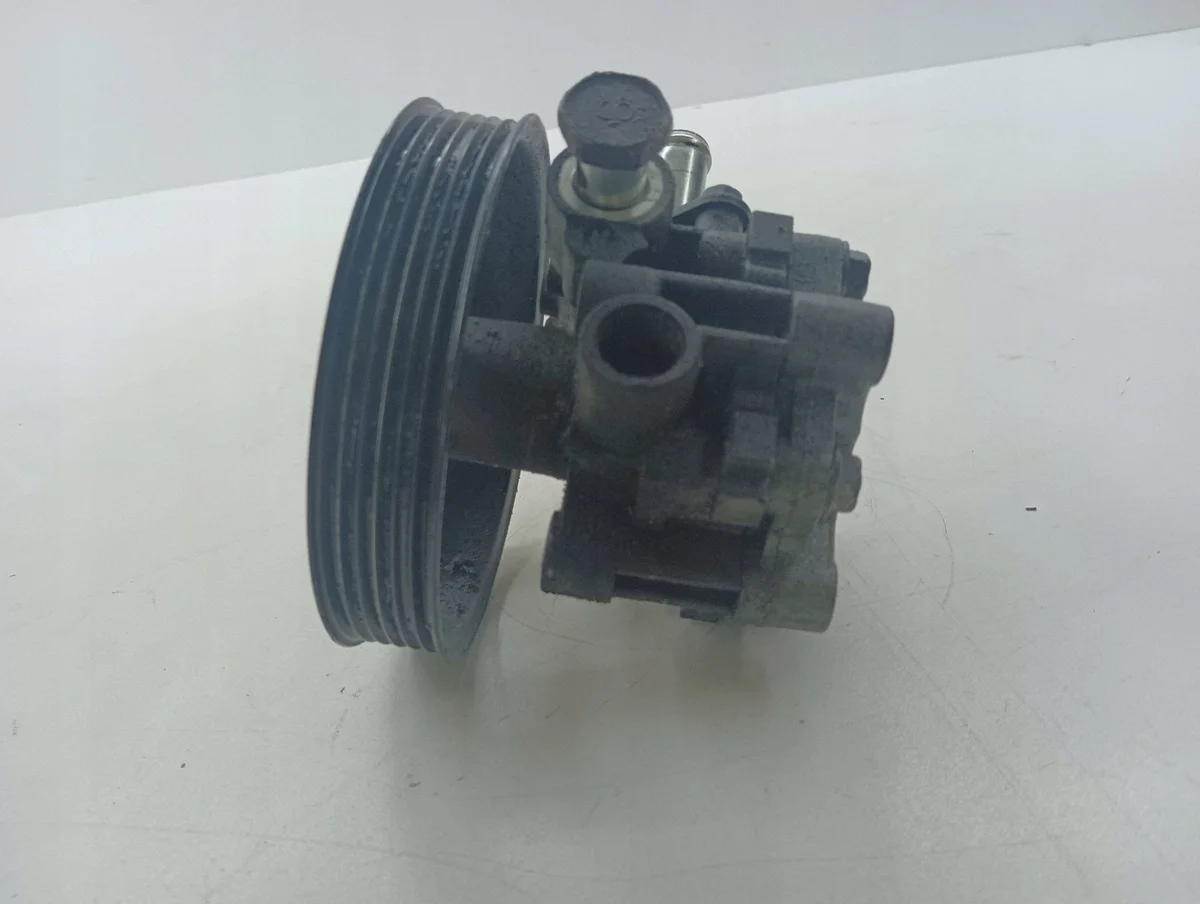 Peugeot 4007 2007 Servopumpe 9Z231561