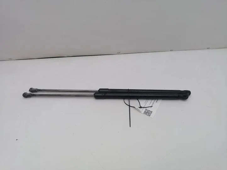 Trunk Lid Strut Mercedes C W203 Left