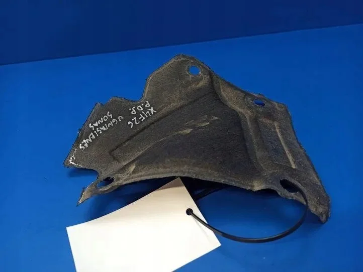 BMW X3 F25 Compartimento Motor 7263242