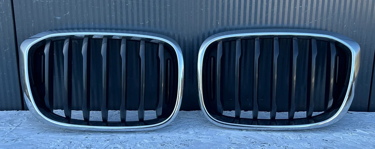 Griglia BMW X3 G01 X4 G02 Usata
