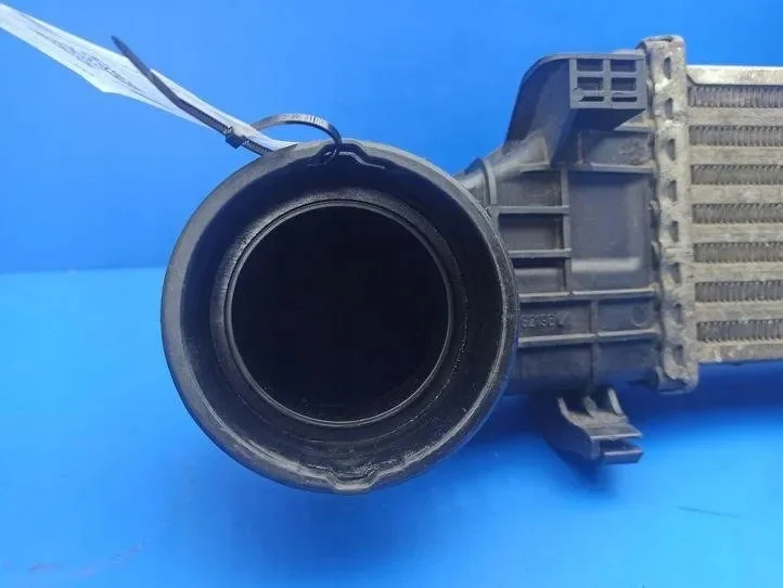 Mercedes E W211 Intercooler G1592000 Used image 10