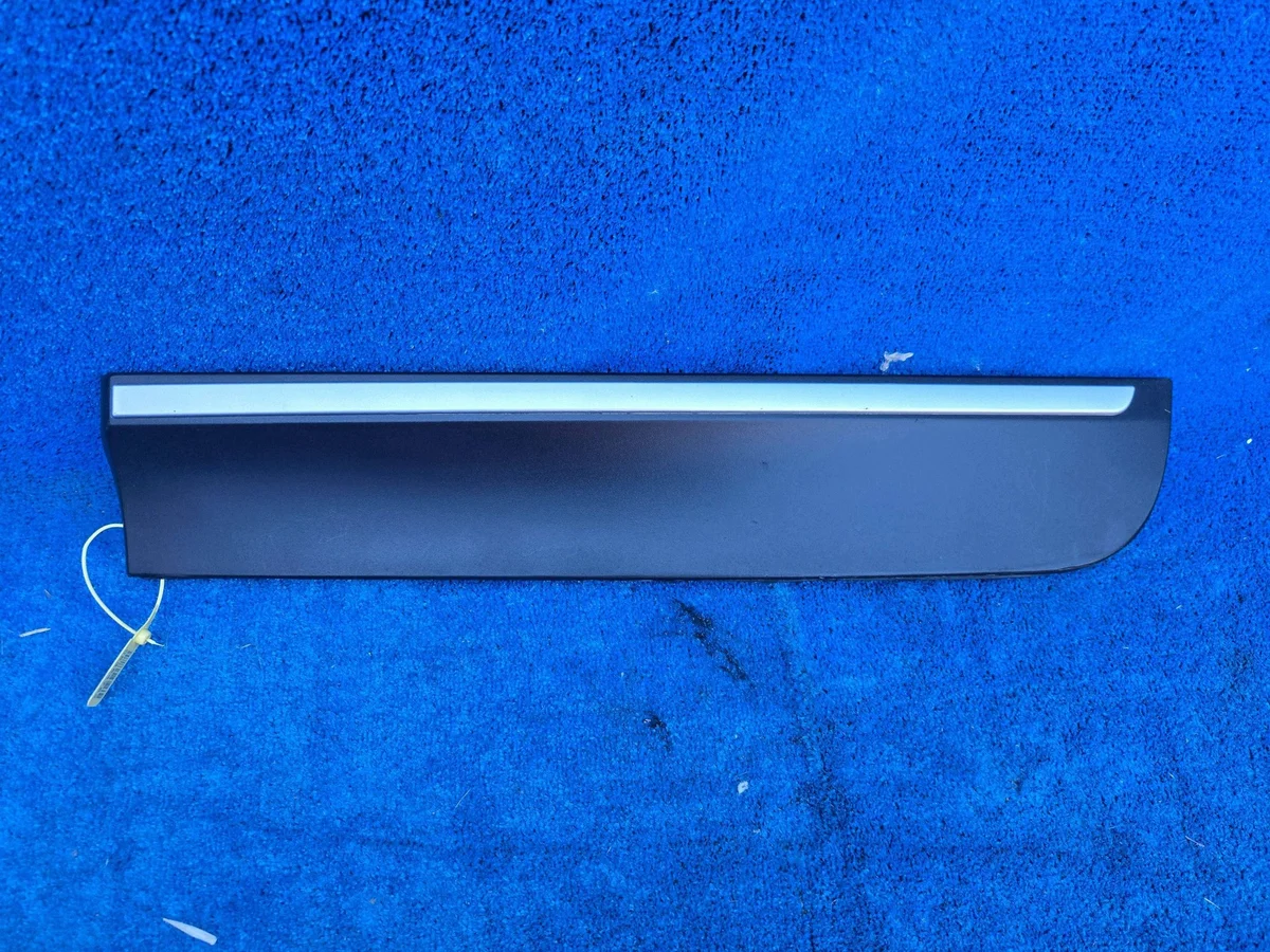 Türleiste hinten links BMW X3 F25 X4 F26