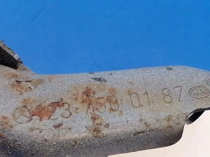Cerniere Cofano Mercedes W123 1237500187